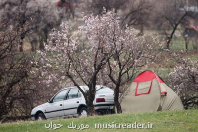 با این نقاشی ها به سیزده به در بروید!