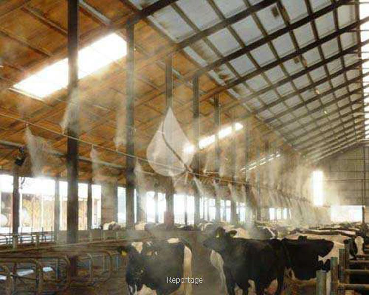 راهکار هوشمند برای خنک سازی و رطوبت رسانی در صنایع مختلف