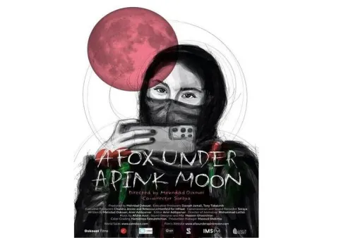 غافلگیری جشنواره سینماحقیقت در شبی که ماه صورتی شد