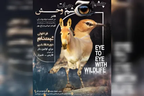 رویداد تجسمی چشم در چشم حیات وحش