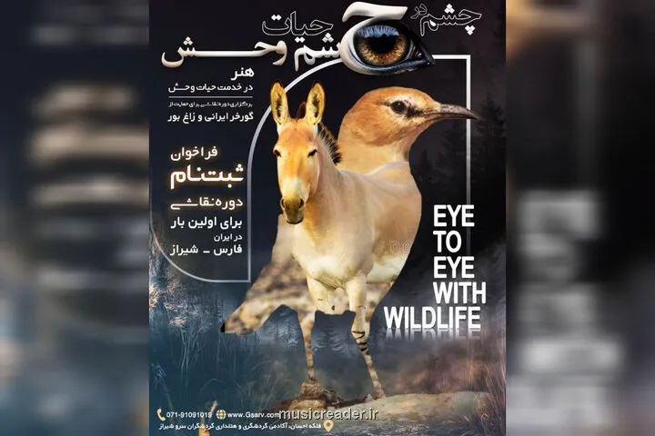 رویداد تجسمی چشم در چشم حیات وحش
