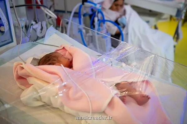 مادران حامله زیر بار گرانی هشدار درباره ی تغذیه مادر و جنین