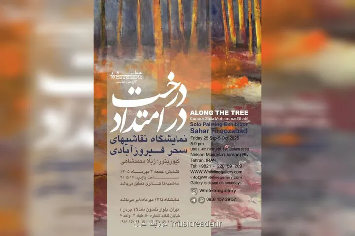 در امتداد درخت در خط سفید