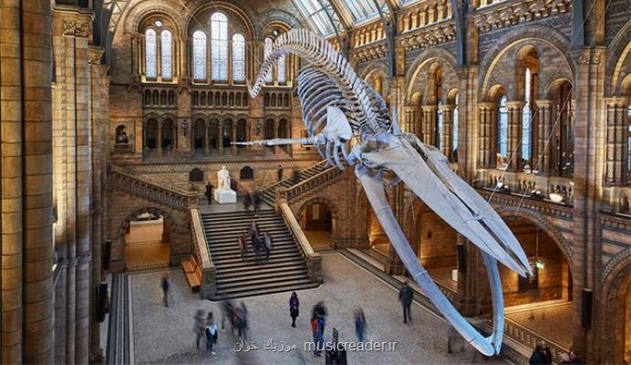 بازگشایی سه موزه بزرگ لندن در آینده نزدیك