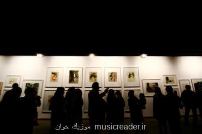 نمایش آثار بانوان نقاش در استانبول با مبحث صلح
